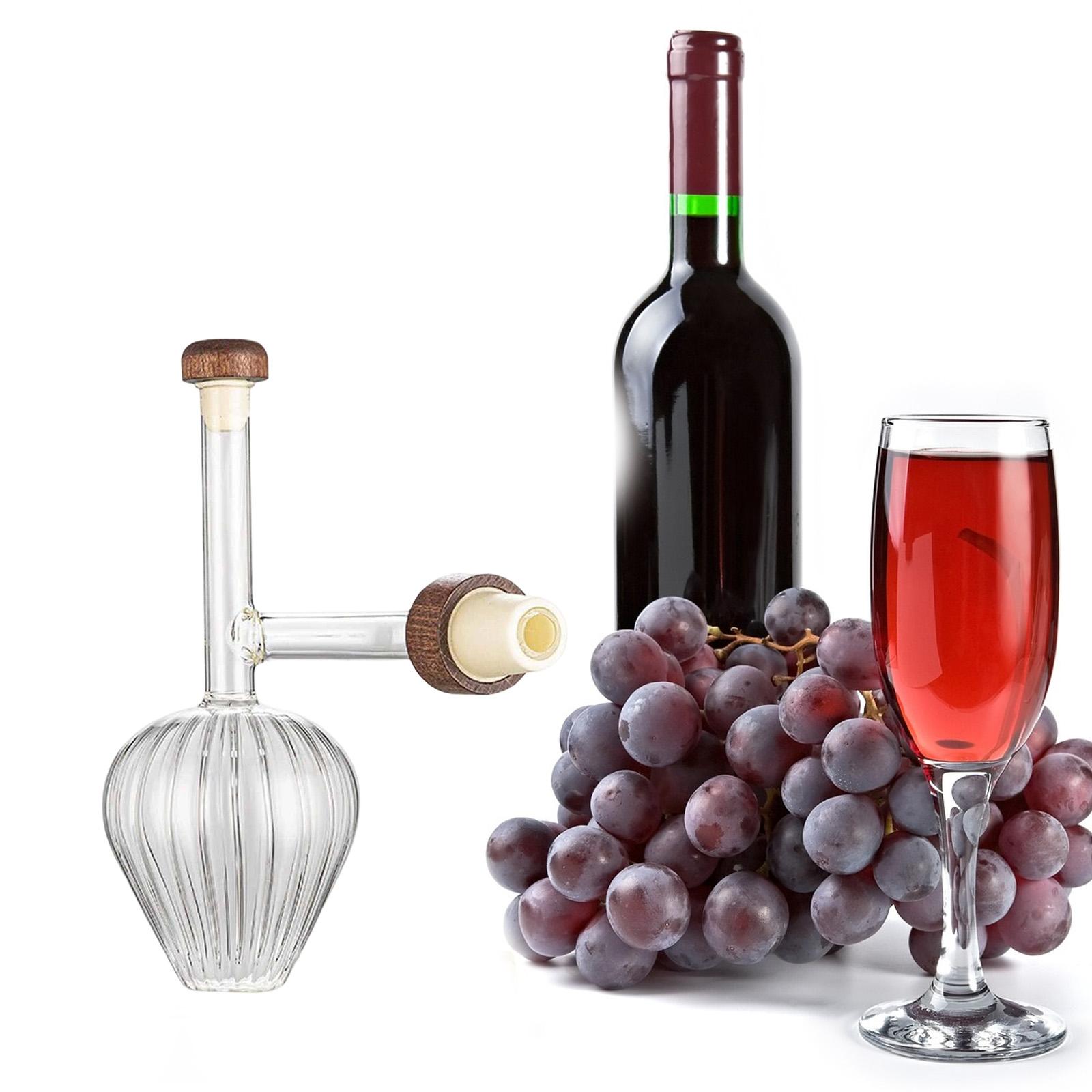 휴대용 디캔터 세트 투명 유리 위스키 에어레이터 병 모 - Decanter Aerator Set 리뷰 및 가격