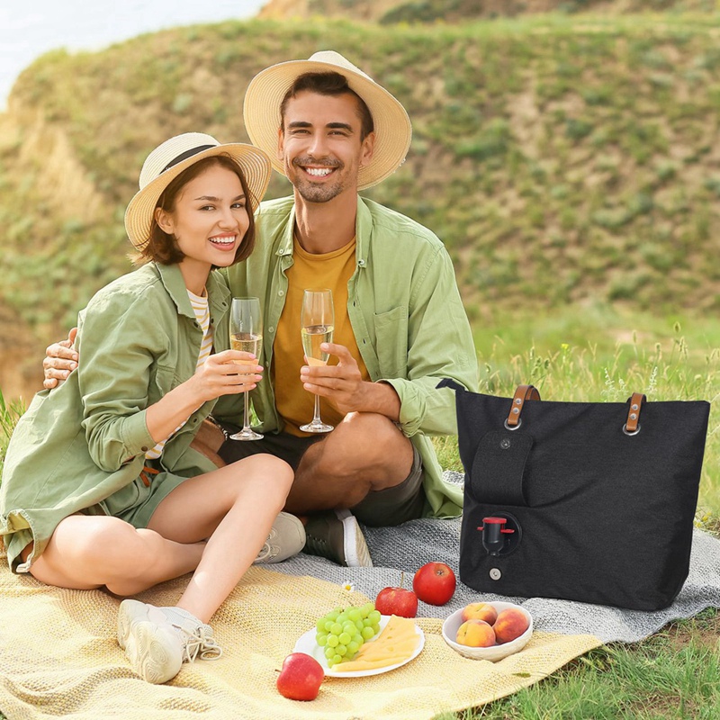 핫 와인 토트 백, 여행 선물용 비치 쿨러, 스파우트  - Wine Beer Refrigerator 리뷰 및 가격
